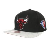 Mitchell & Ness NBA Chicago Bulls 75Th Platinum Snapback - Fekete - Sapka