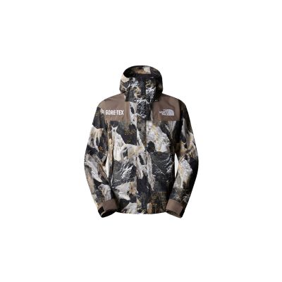 The North Face M Gore-Tex Mountain Jacket - Multicolor - Dzseki